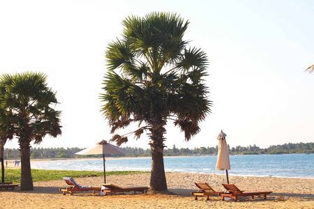 Sri Lanka, Colombo,March 2014. beach resort tropicalのeditorial素材