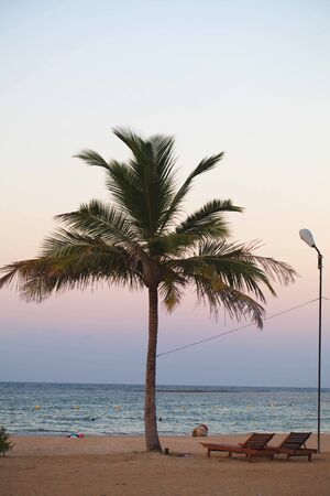 Sri Lanka, Colombo,March 2014. beach resort tropicalのeditorial素材