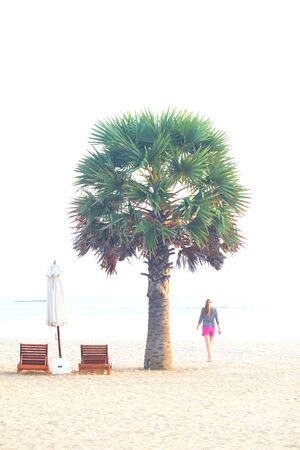Sri Lanka, Colombo,March 2014. beach resort tropicalのeditorial素材