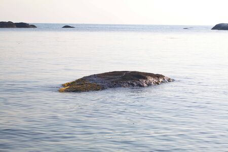 Sri Lanka, Colombo,March 2014. beach resort tropicalのeditorial素材