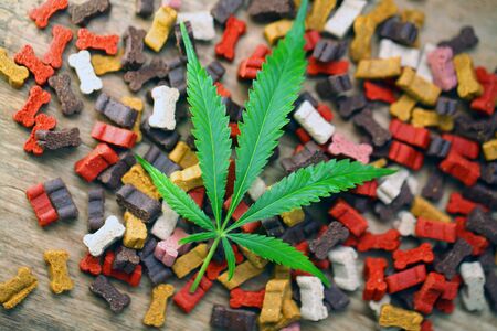 dog food with cannabis