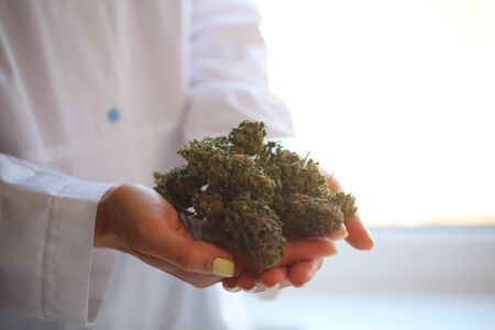 doctor hand hold and offer to patient medical marijuana and oil. Cannabis recipe for personal use, legal light drugs prescribe, alternative remedy or medication,medicine conceptの写真素材