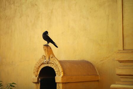 bright figures of the gods on the gopurama of a hindu temple in sri lankaの写真素材