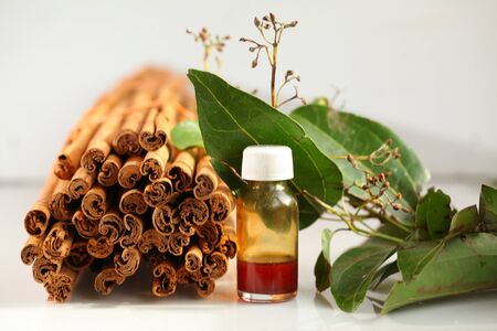 ceylon cinnamon sticks wholesale packagingの写真素材