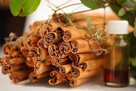 ceylon cinnamon sticks wholesale packagingの写真素材