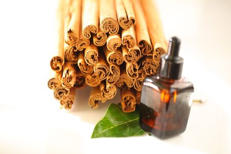ceylon cinnamon sticks wholesale packaging