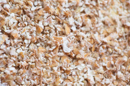 Dried grain wheat sprouts bio food