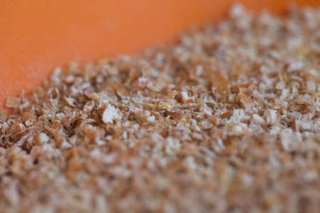 Dried grain wheat sprouts bio foodの写真素材
