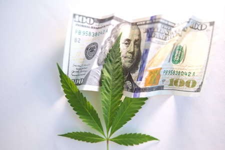 cannabis drug business in america. dollars and marijuana