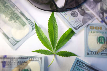 cannabis drug business in america. dollars and marijuana