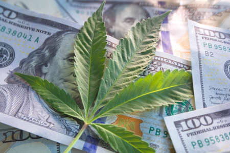 cannabis drug business in america. dollars and marijuanaの写真素材