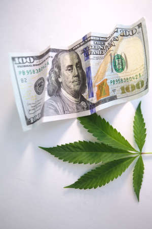cannabis drug business in america. dollars and marijuanaの写真素材