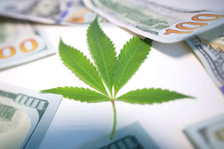 cannabis drug business in america. dollars and marijuanaの写真素材