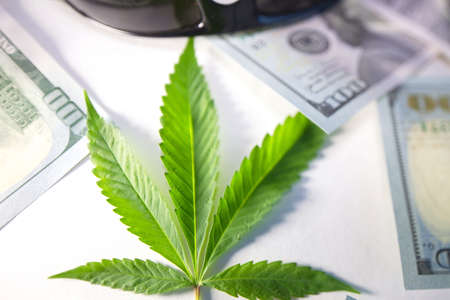 cannabis drug business in america. dollars and marijuanaの写真素材