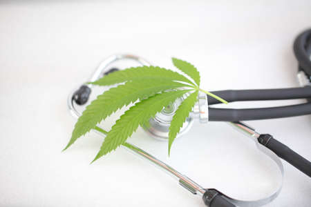 cannabis leaf medical stethoscope on white table. marijuana and health. hemp conceptの写真素材