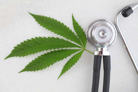 cannabis leaf medical stethoscope on white table. marijuana and health. hemp conceptの写真素材