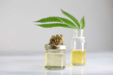 Medical marijuana, leaf cannabis, cbd oilの写真素材