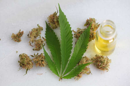 Medical marijuana, leaf cannabis, cbd oilの写真素材