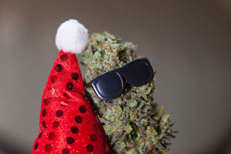 New Year's story with cannabis. big cannabis cone christmas decorationの写真素材