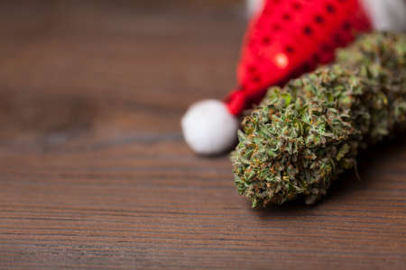 New Year's story with cannabis. big cannabis cone christmas decorationの写真素材