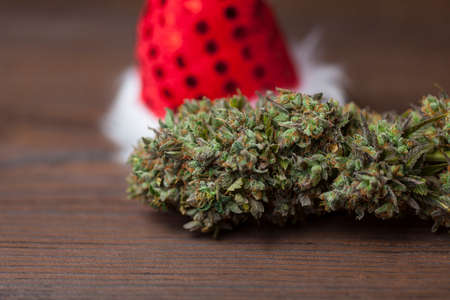 New Year's story with cannabis. big cannabis cone christmas decorationの写真素材