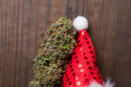 New Year's story with cannabis. big cannabis cone christmas decorationの写真素材