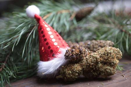 big cannabis cone christmas decoration. marijuana close up. hemp buds.の写真素材