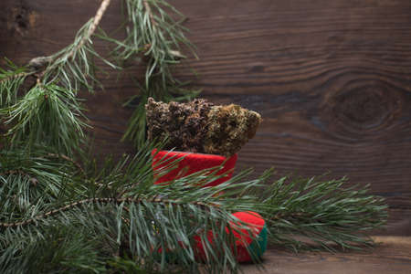 big cannabis cone christmas decoration. marijuana close up. hemp buds.の写真素材