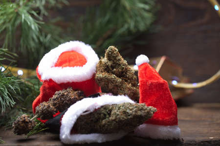 big cannabis cone christmas decoration. marijuana close up. hemp buds.の写真素材
