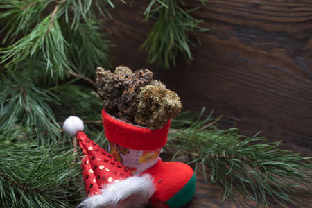 big cannabis cone christmas decoration. marijuana close up. hemp buds.の写真素材