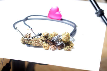 medical marijuana cannabis cbd. hemp buds. medicine concept