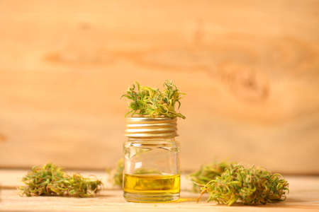 Medical marijuana. cannabis indica. cbd oil. hemp buds