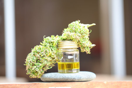 Medical marijuana. cannabis indica. cbd oil. hemp buds