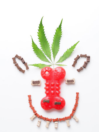 dog food with cannabis oil.の写真素材