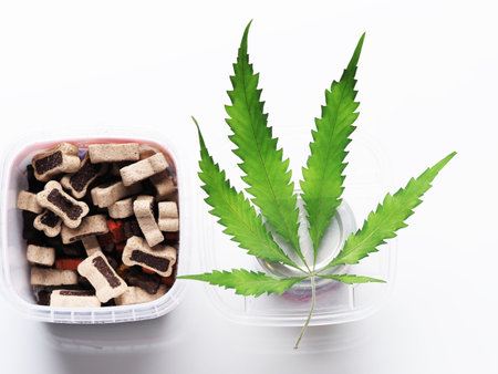 dog food with cannabis oil.