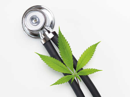 cannabis leaf.medical marijuana drug. culture hempの写真素材