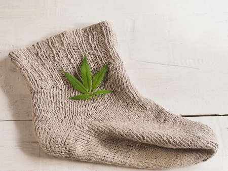 technical hemp sheet and fiberの写真素材