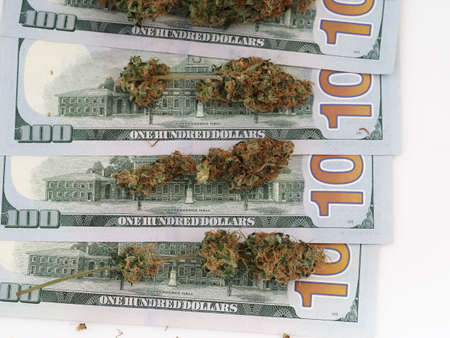 cannabis business concept money american dollars and medical marijuanaの写真素材