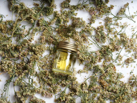 leaves dry of a medicinal plant yarrow