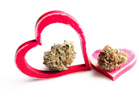medical cannabis heart symbol of health and loveの写真素材