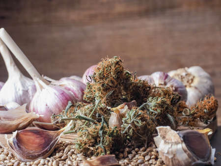 weed buds and garlic. medical marijuana