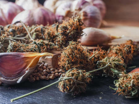 weed buds and garlic. medical marijuanaの写真素材