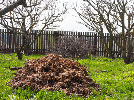 wood chips recycled chopped tree branches lie in a pile in the gardenの写真素材
