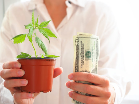 Cannabis plant in a pot with dollar bills in the hands of a womanの写真素材