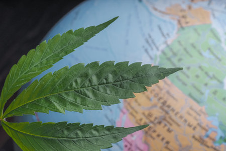 Cannabis leaf on the background of the map of the worldの写真素材