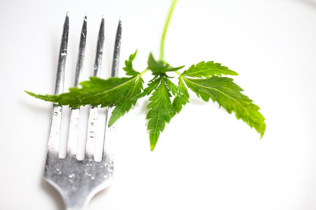 Cannabis leaf with fork on white background, medical marijuana conceptの写真素材