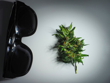 Cannabis buds and sunglasses on a white background. close-up.の写真素材