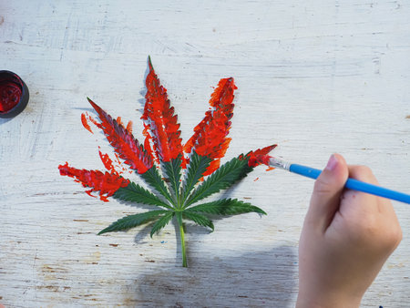 Child's hand draws cannabis leaf on a white wooden background, top viewの写真素材