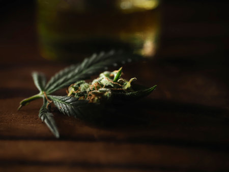 Cannabis buds on wooden table. Cannabis buds on dark background.の写真素材