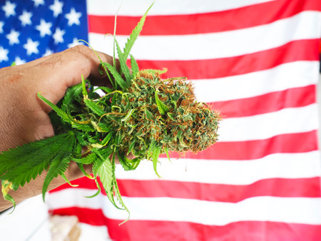 Cannabis in hand on a background of the flag of the United States of Americaの写真素材